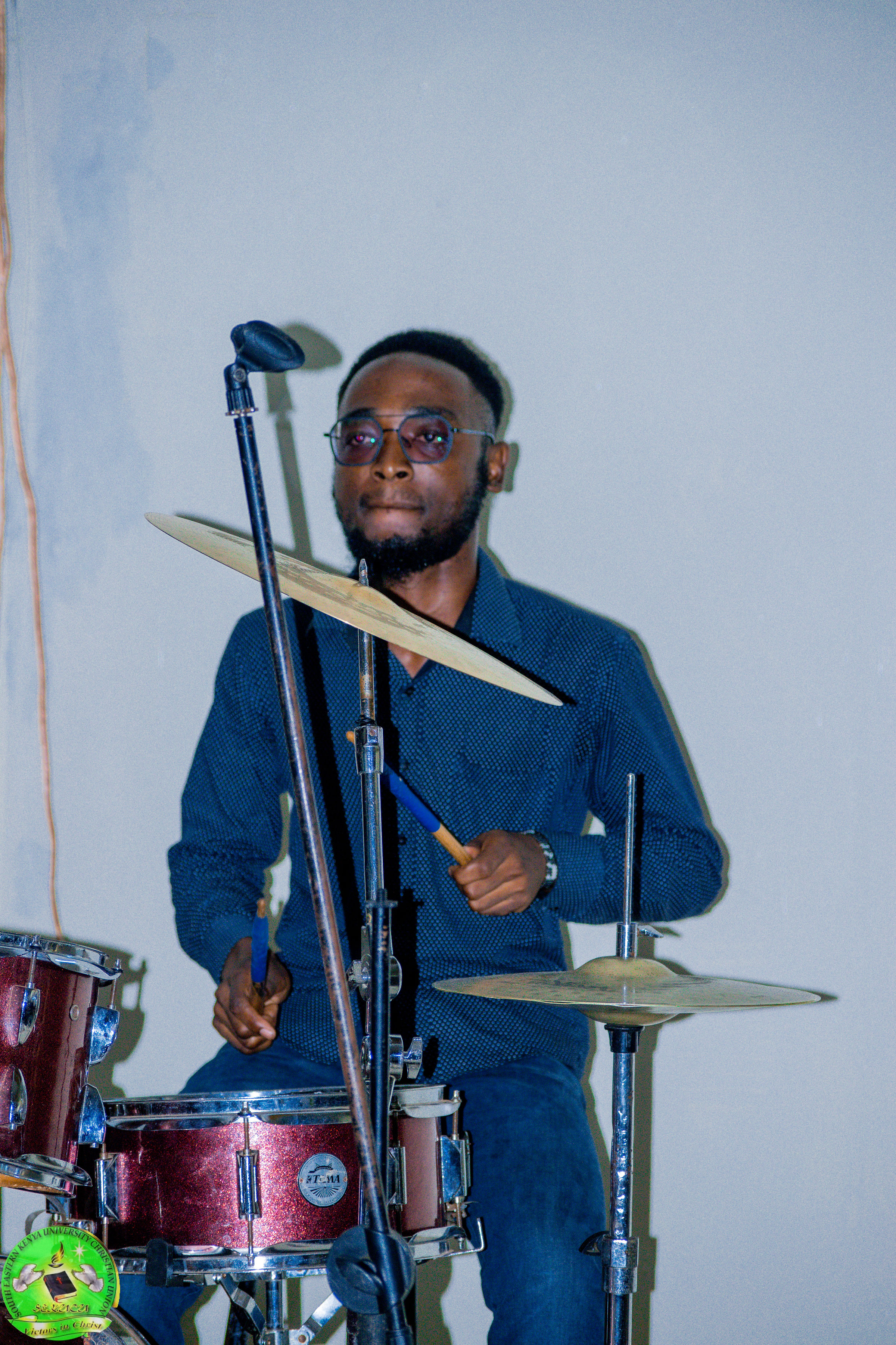 Instrumentalist Image 3